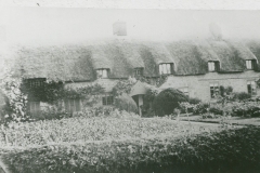 000951 Thatched cottage c1920